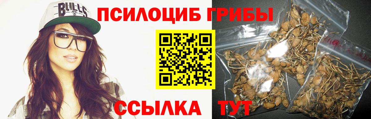 Галлюциногенные грибы прущие грибы  купить закладку  Киров  Псилоцибиновые грибы GOLDEN TEACHER  Вход с VPN 