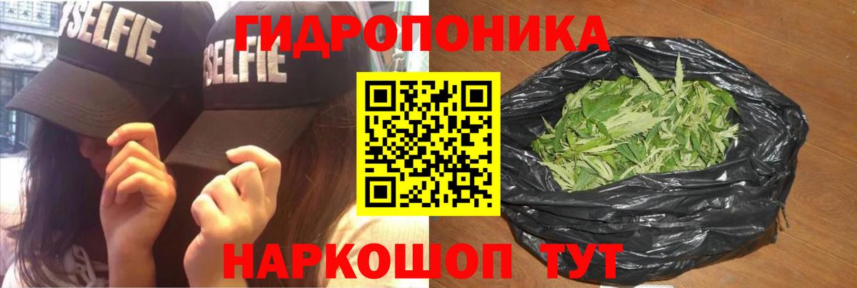 Конопля конопля Киров